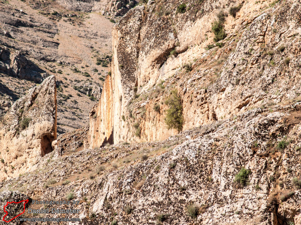 Souq Wadi Barada (سوق وادي بردى)