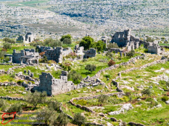 Beitar (بيتر)