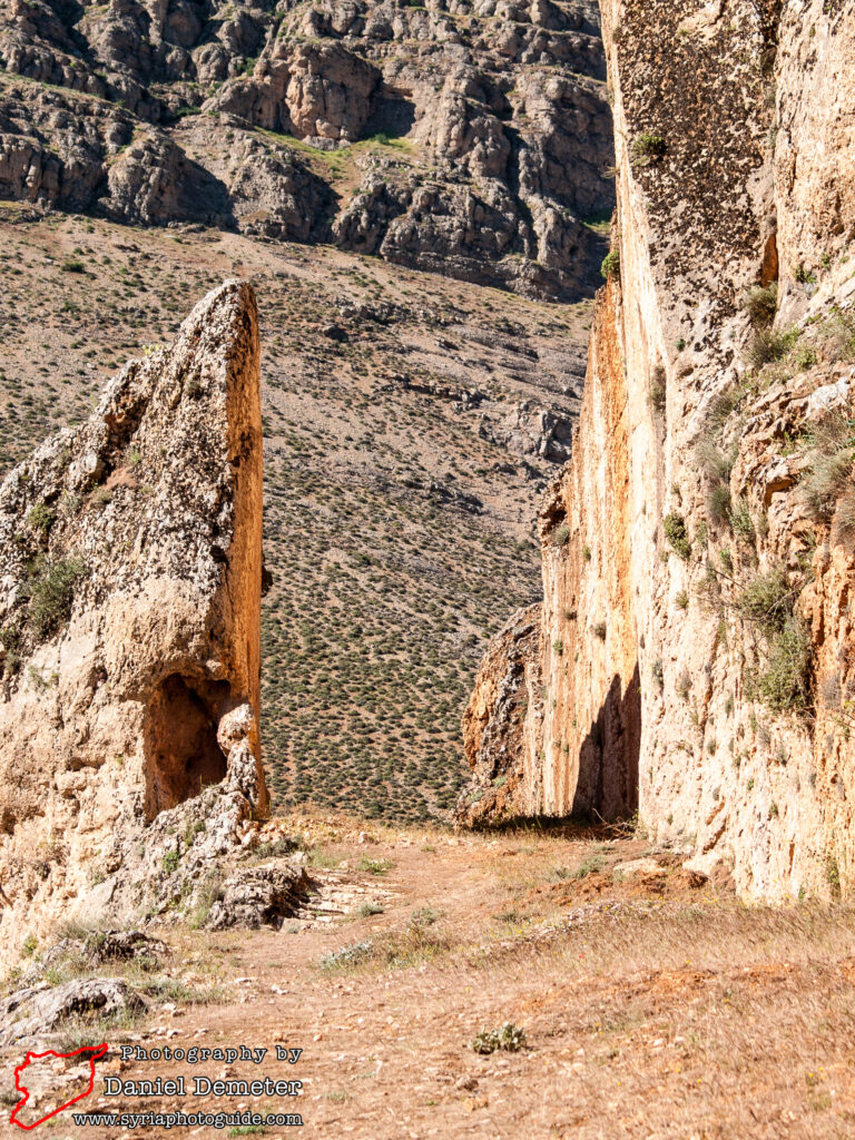 Souq Wadi Barada (سوق وادي بردى)