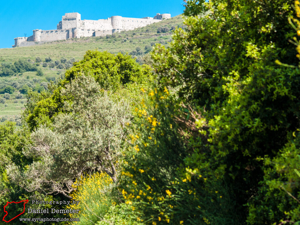 Qalaat al-Hosn - Krak des Chevaliers (قلعة الحصن)