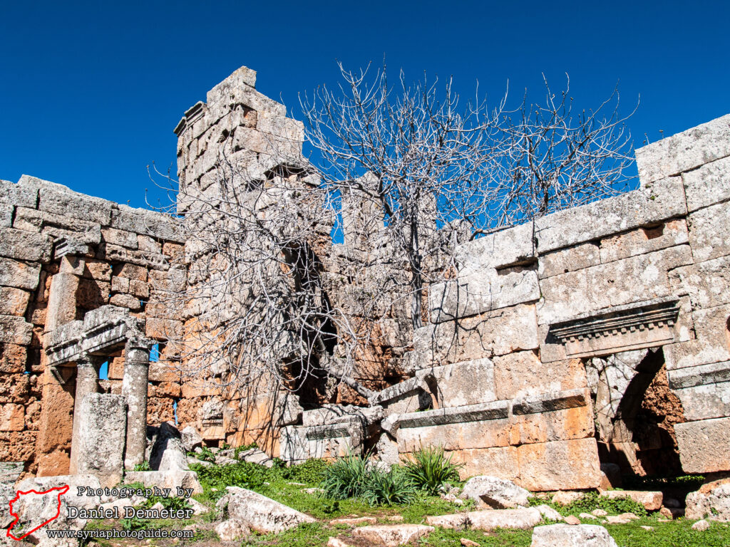 Serjilla (سرجلا)