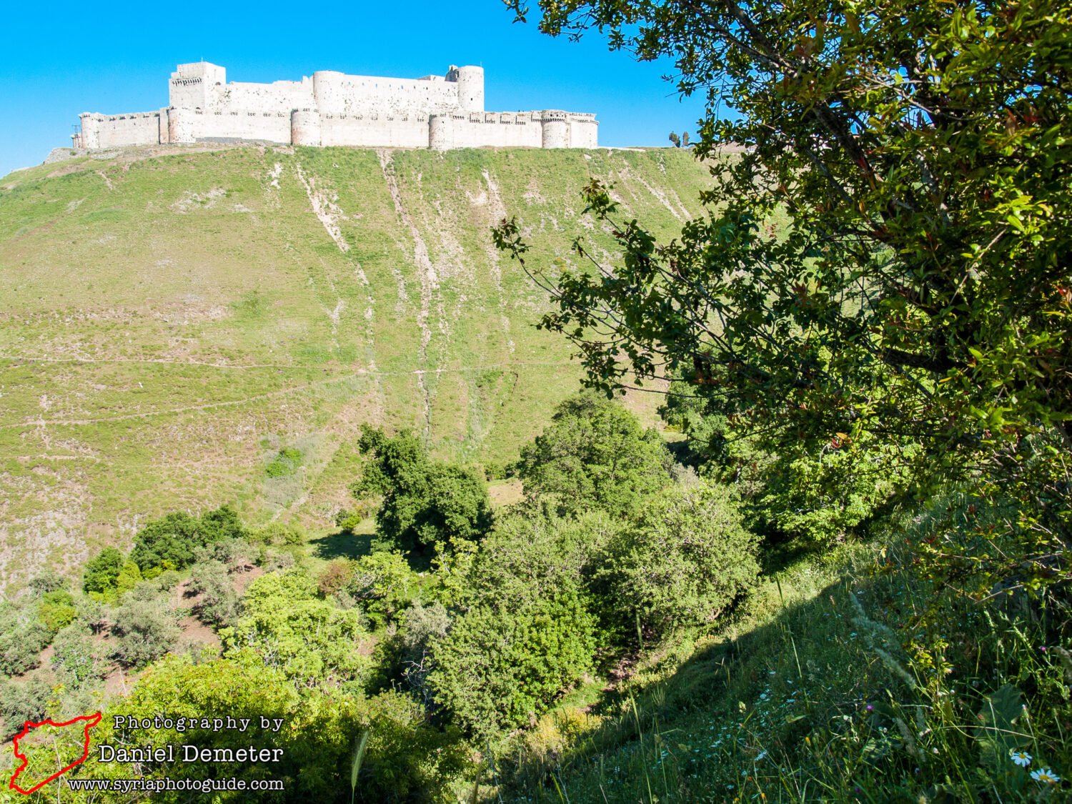 Qalaat al-Hosn - Krak des Chevaliers (قلعة الحصن)