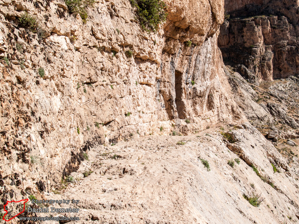 Souq Wadi Barada (سوق وادي بردى)