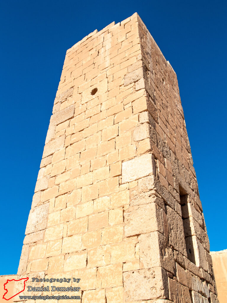 Qasr al-Heir al-Sharqi (قصر الحير الشرقي)