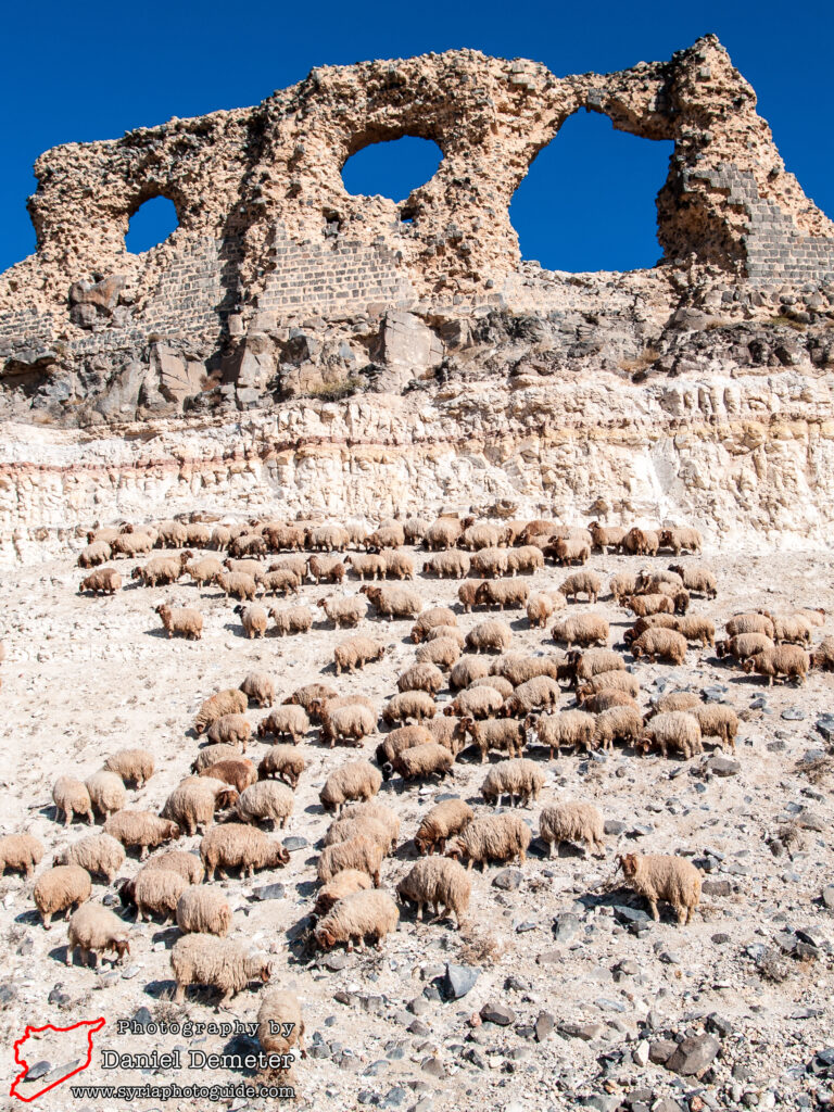 Qalaat al-Shamamis (قلعة الشماميس)