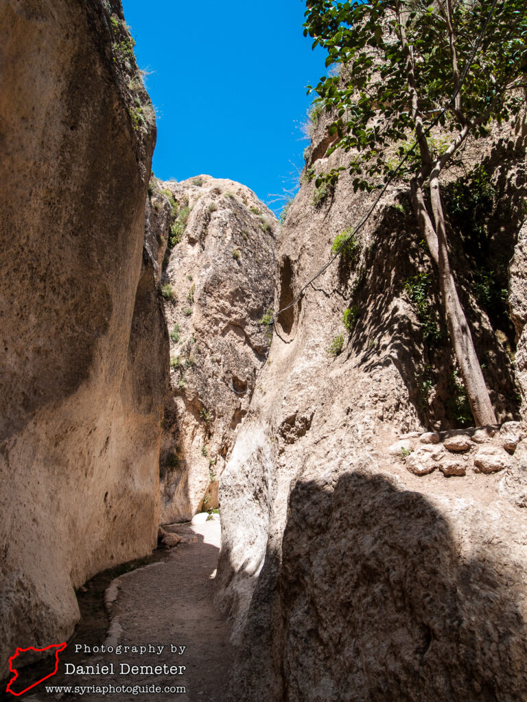 Maalula (معلولا)