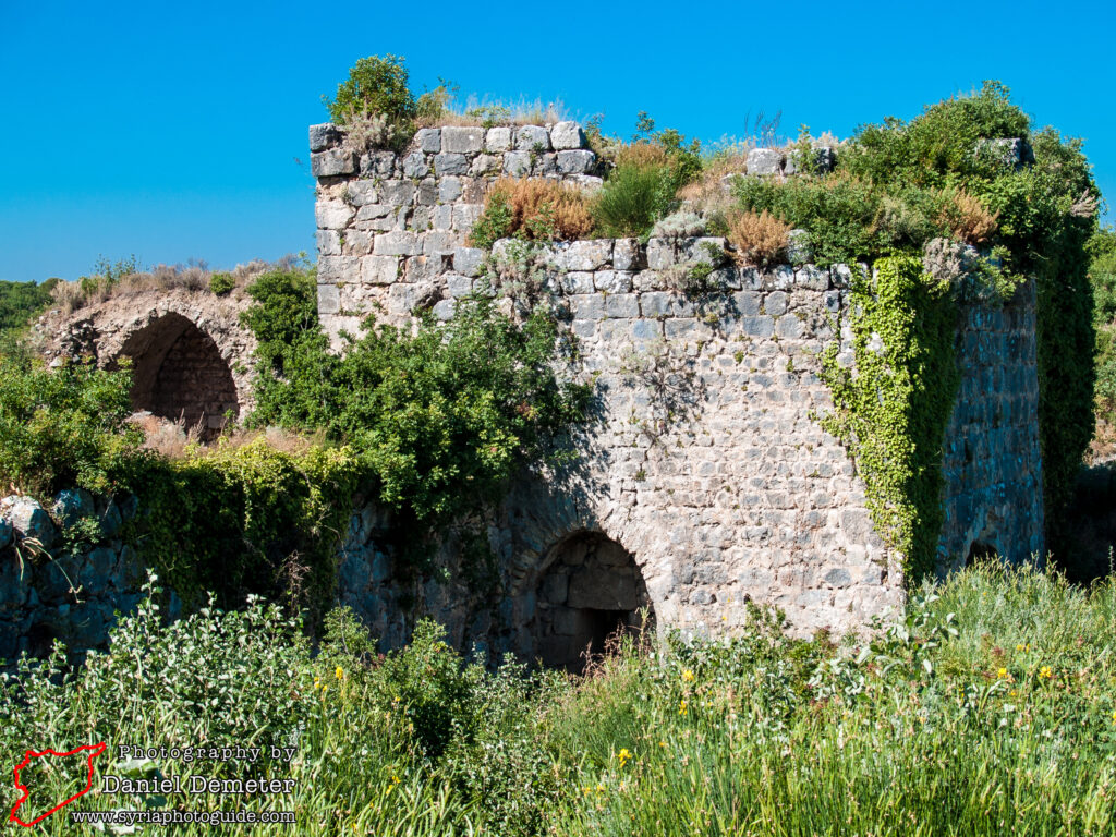 Qalaat Salah al-Din (قلعة صلاح الدين)