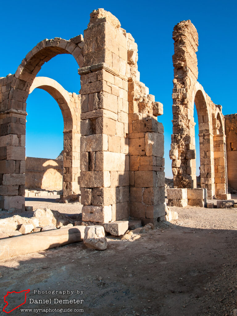 Qasr al-Heir al-Sharqi (قصر الحير الشرقي)