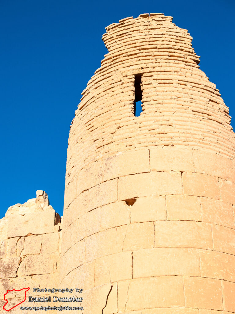 Qasr al-Heir al-Sharqi (قصر الحير الشرقي)