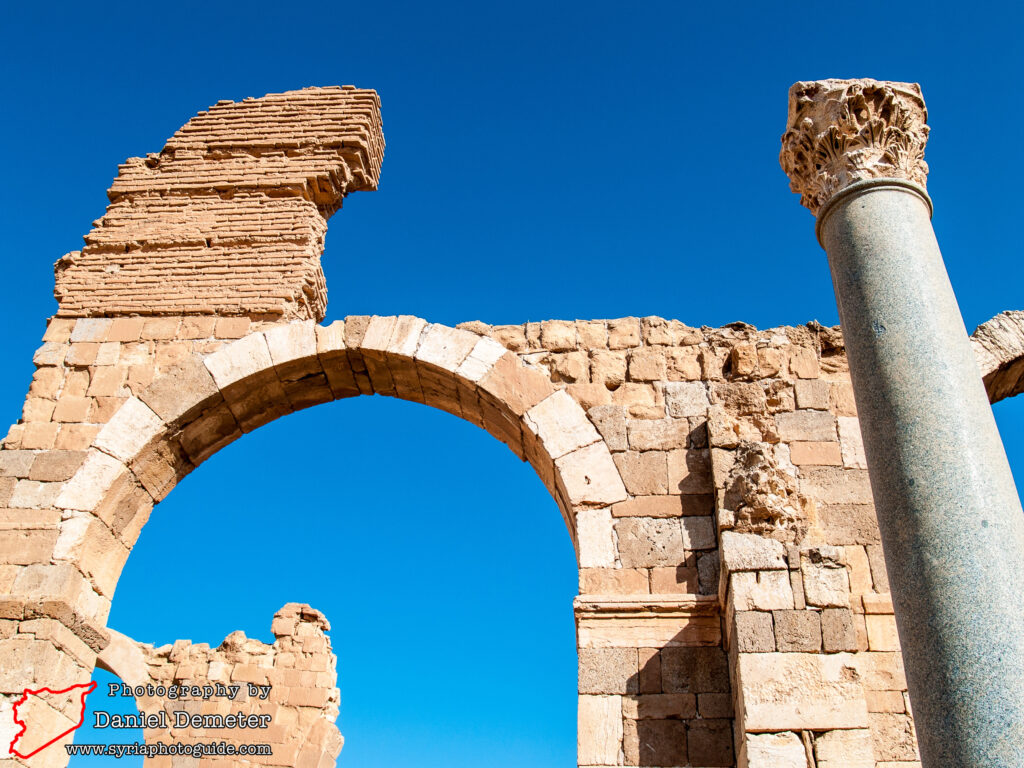 Qasr al-Heir al-Sharqi (قصر الحير الشرقي)