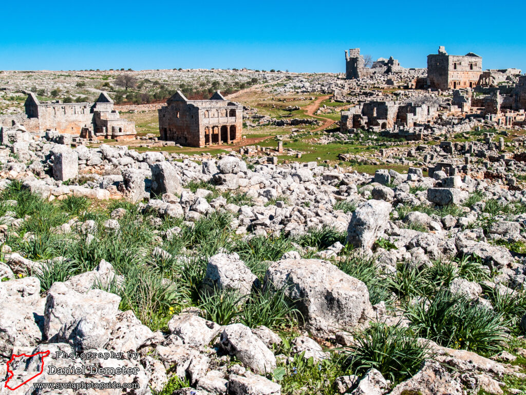 Serjilla (سرجلا)