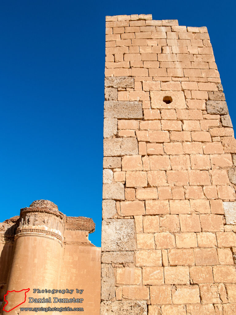 Qasr al-Heir al-Sharqi (قصر الحير الشرقي)