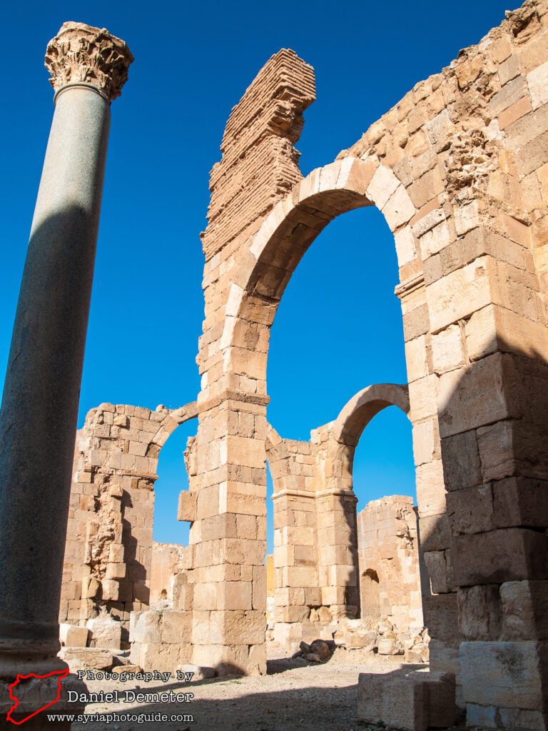 Qasr al-Heir al-Sharqi (قصر الحير الشرقي)