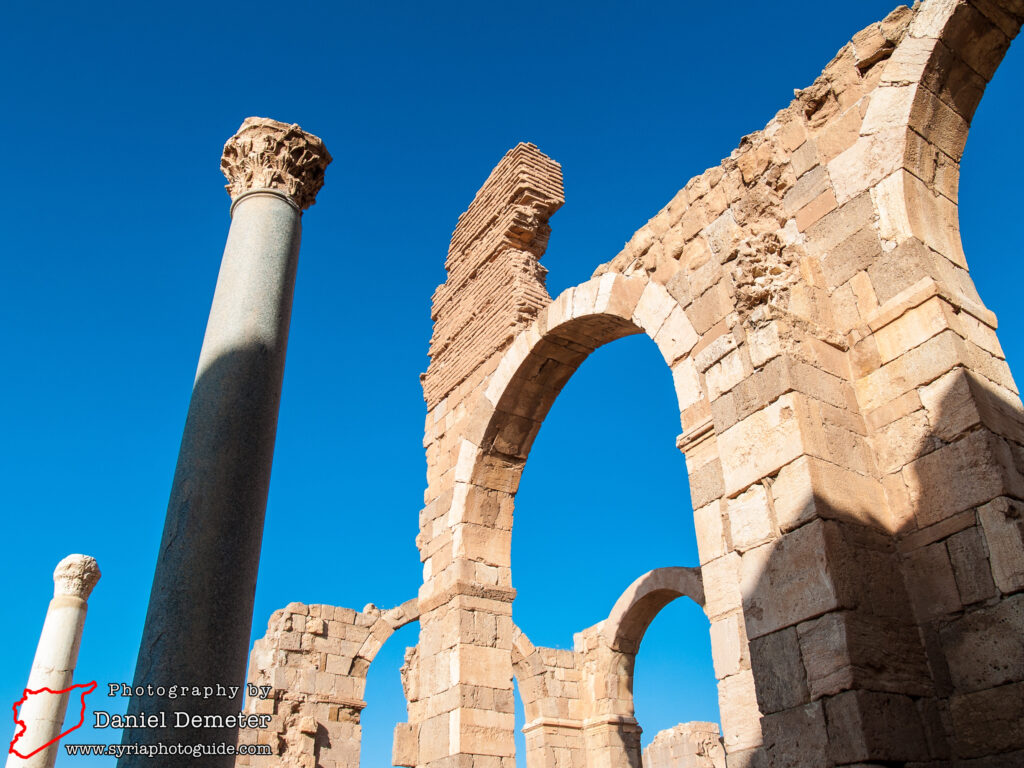 Qasr al-Heir al-Sharqi (قصر الحير الشرقي)