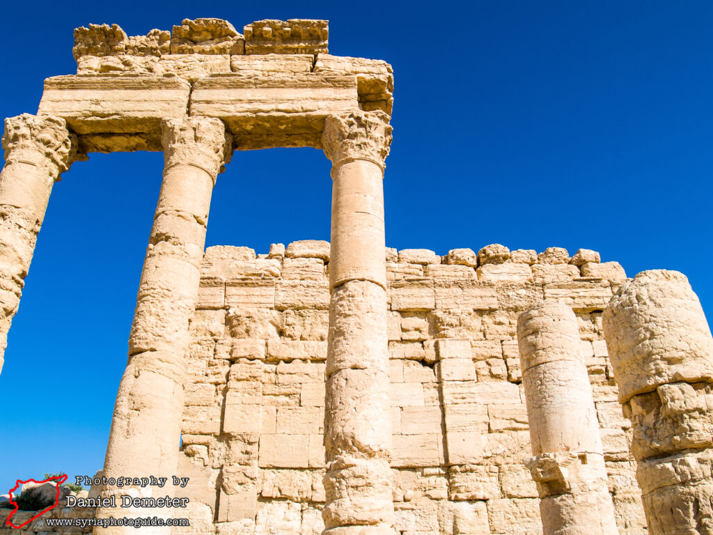 Palmyra - Agora & Tariff Court (تدمر - الآغورا و قاعة الضرائب)
