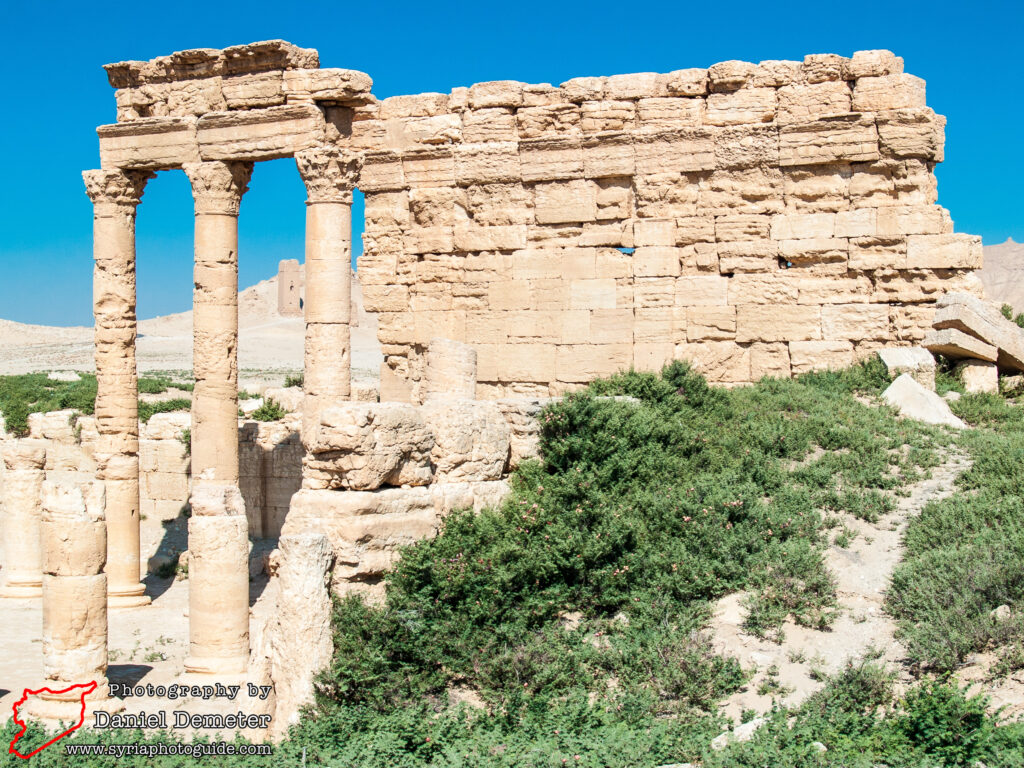 Palmyra - Agora & Tariff Court (تدمر - الآغورا و قاعة الضرائب)