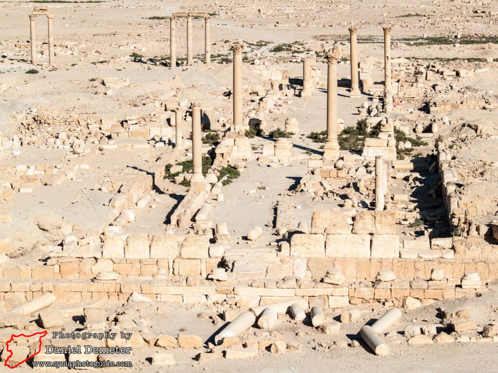 Palmyra - Camp of Diocletian (تدمر - معسكر ديوقلسيان)