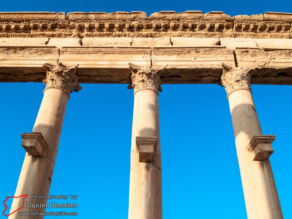 Palmyra - Colonnaded Streets (تدمر - شوارع معمدة)