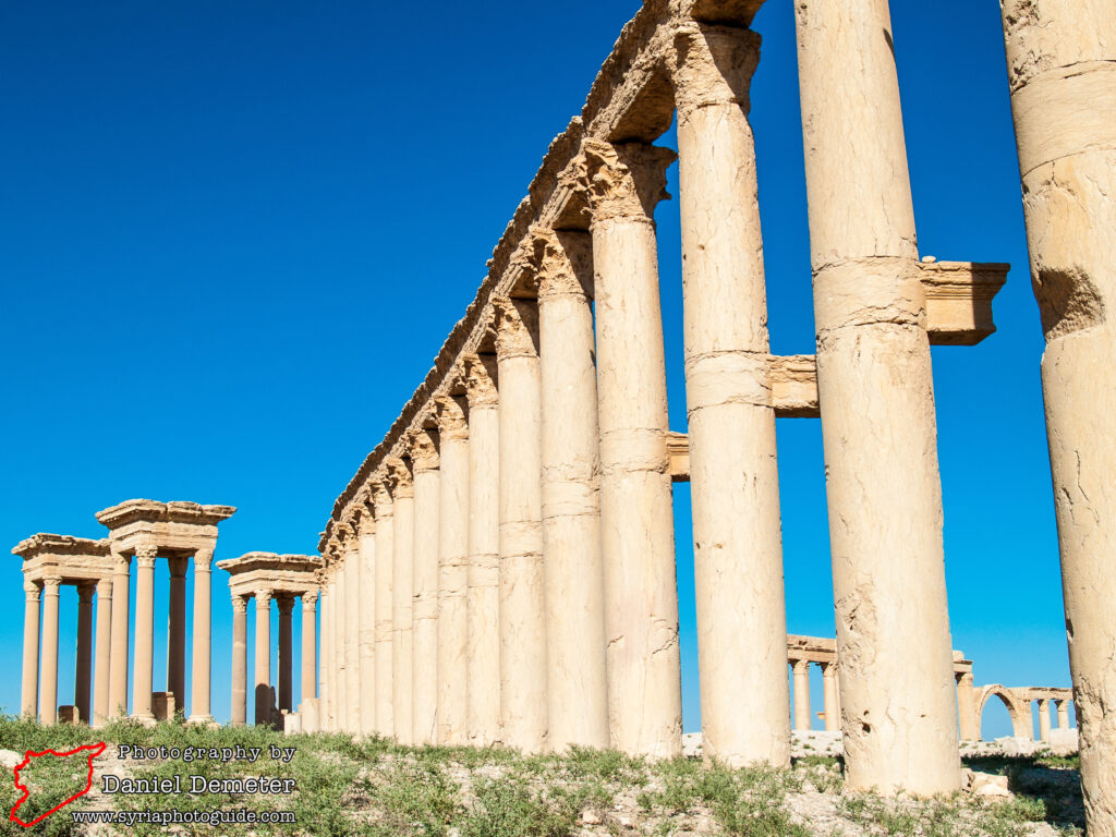 Palmyra - Colonnaded Streets (تدمر - شوارع معمدة)
